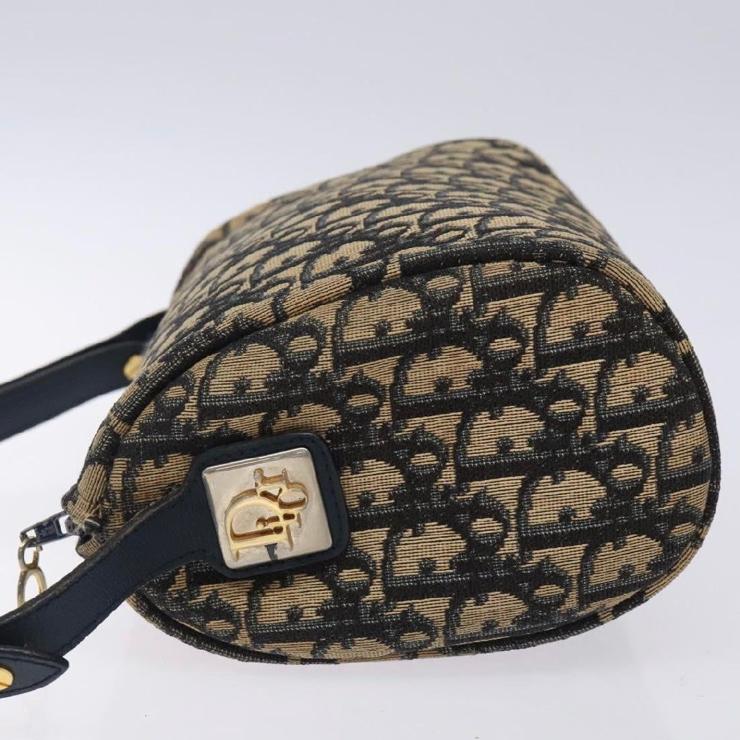 Dior Oblique Trotter Bag