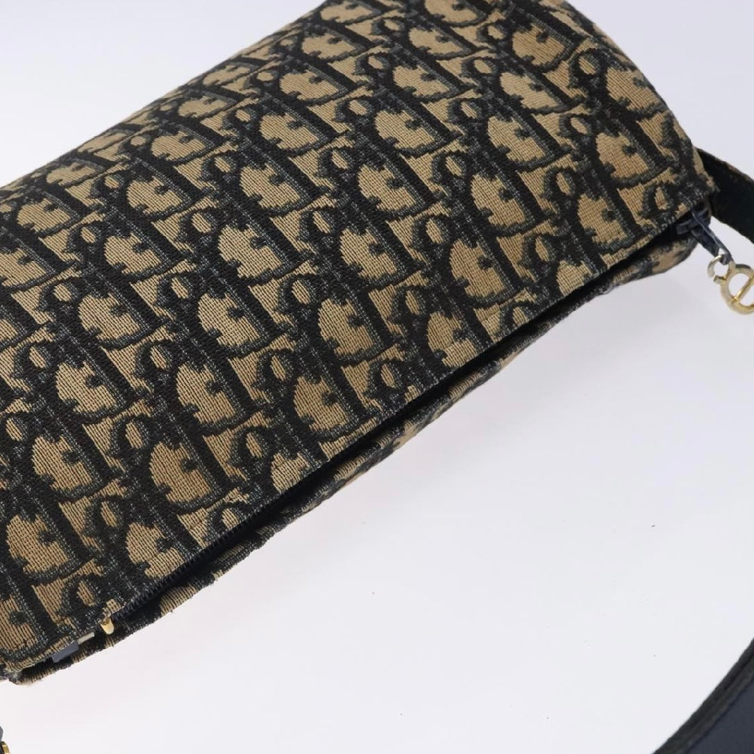 Dior Oblique Trotter Bag