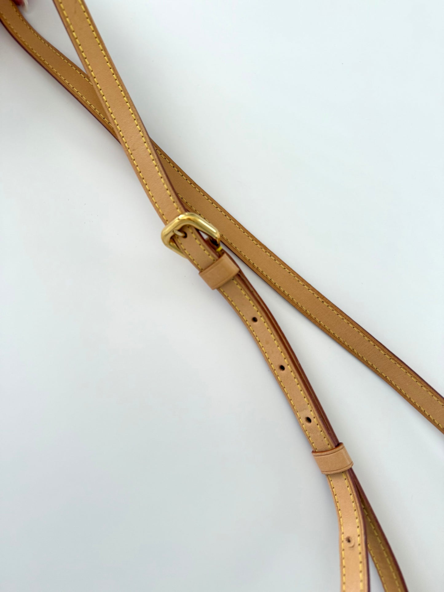 Louis Vuitton Denim Mini Jeanne Crossbody Bag
