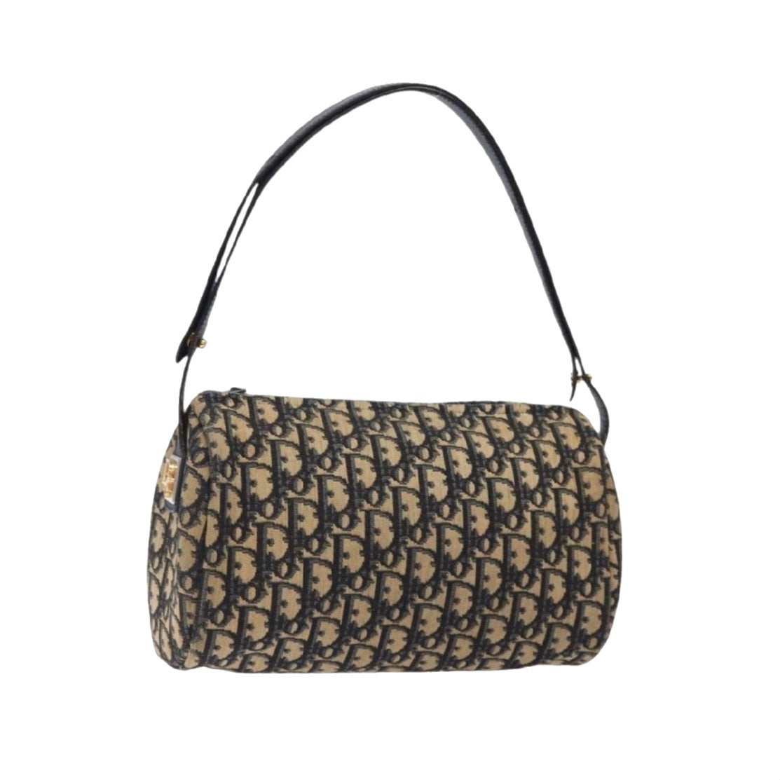 Dior Oblique Trotter Bag