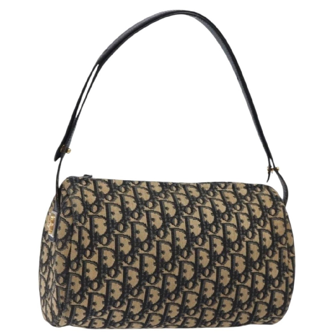 Dior Oblique Trotter Bag