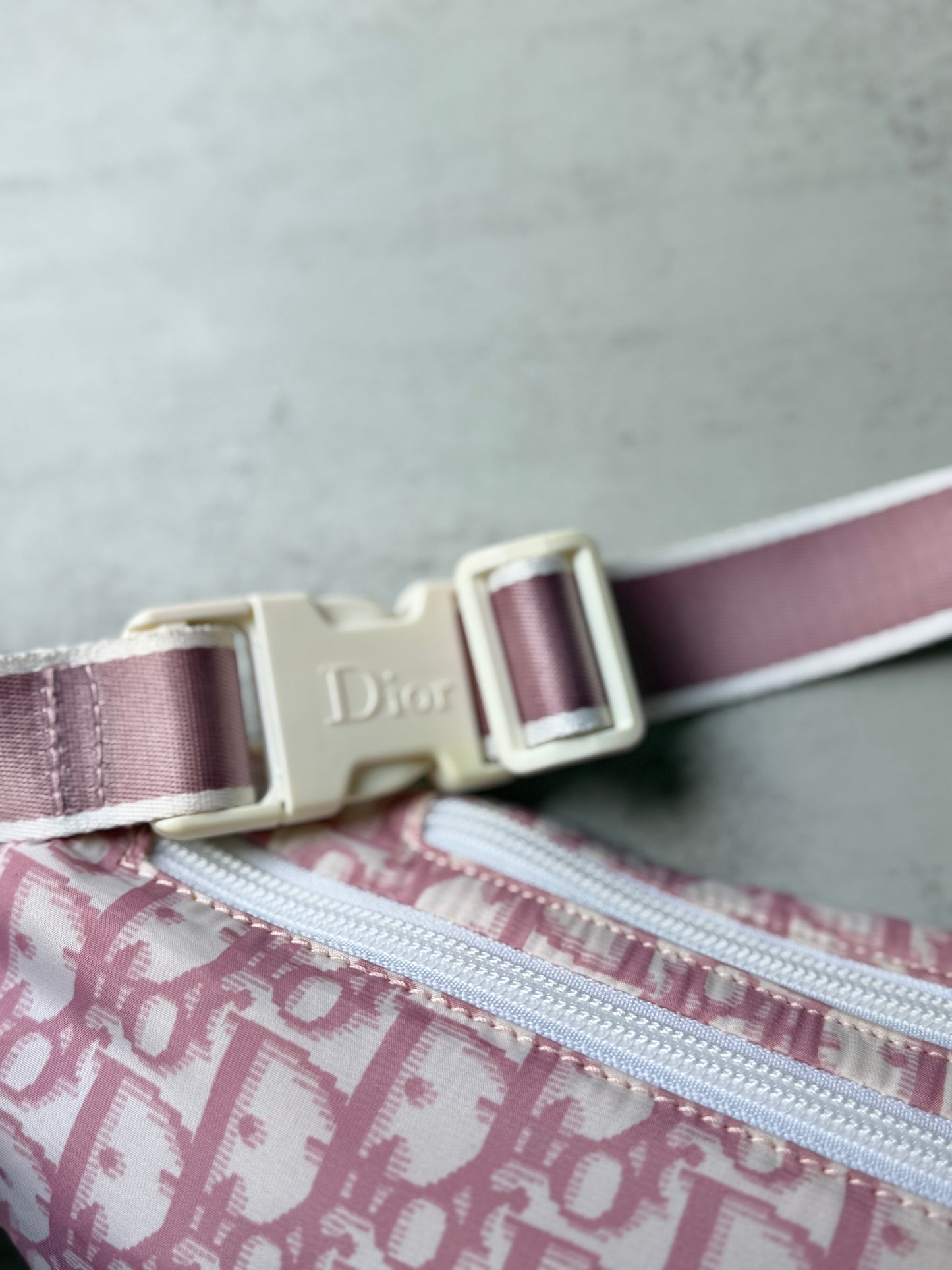 Pink Dior Monogram Bum Bag