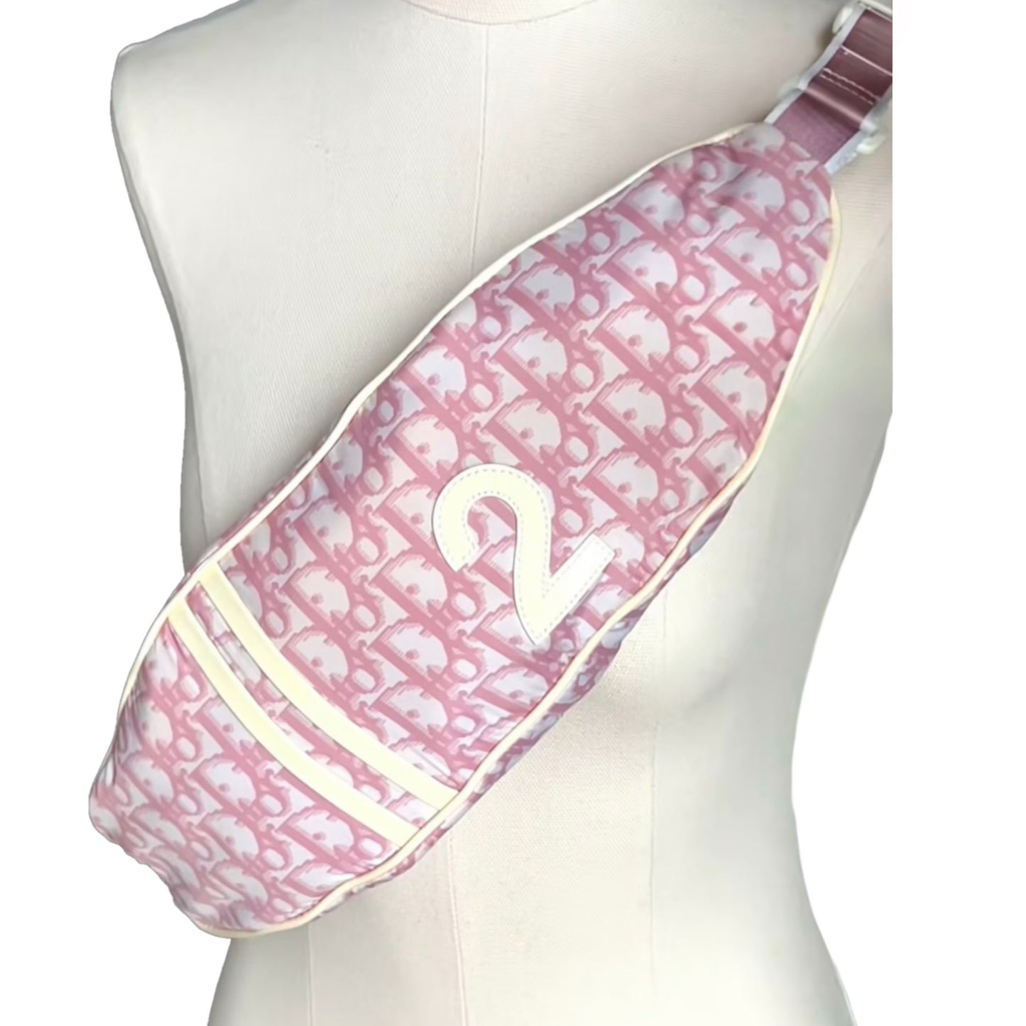 Pink Dior Monogram Bum Bag