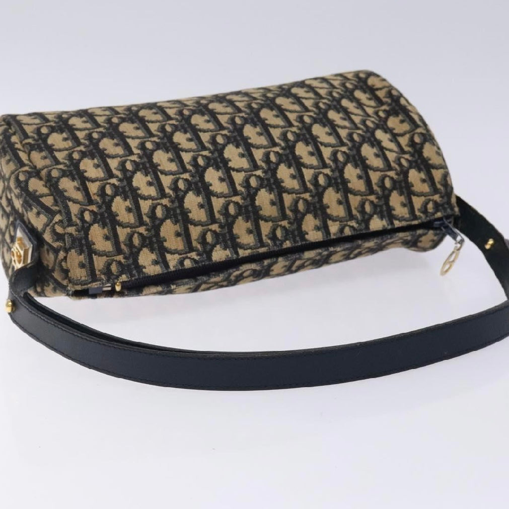 Dior Oblique Trotter Bag