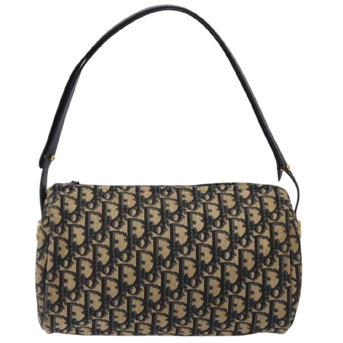 Dior Oblique Trotter Bag