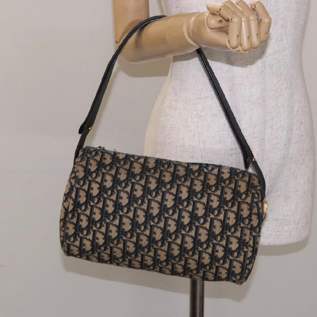 Dior Oblique Trotter Bag