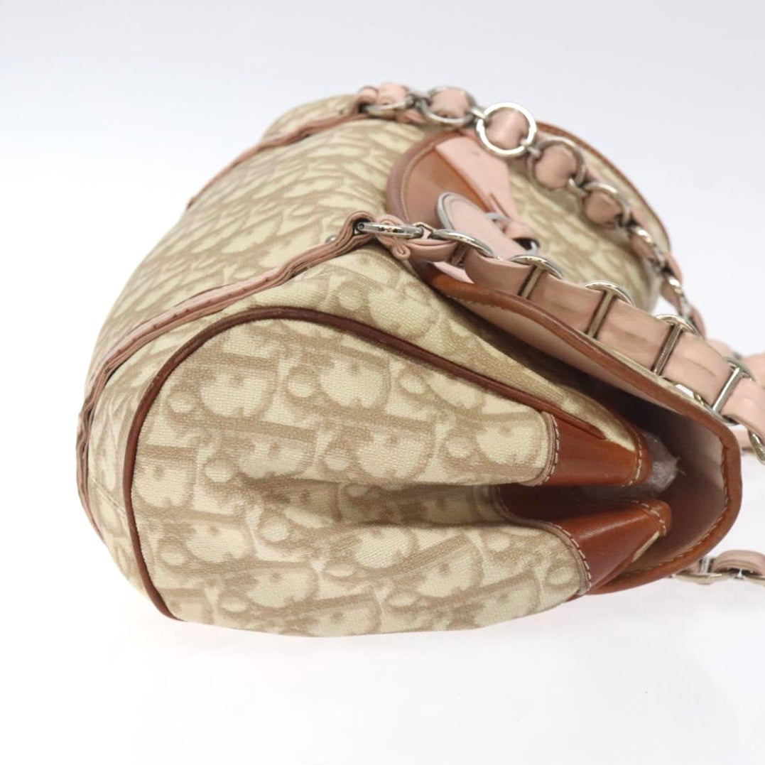 Dior Romantique Pink Trotter Bag