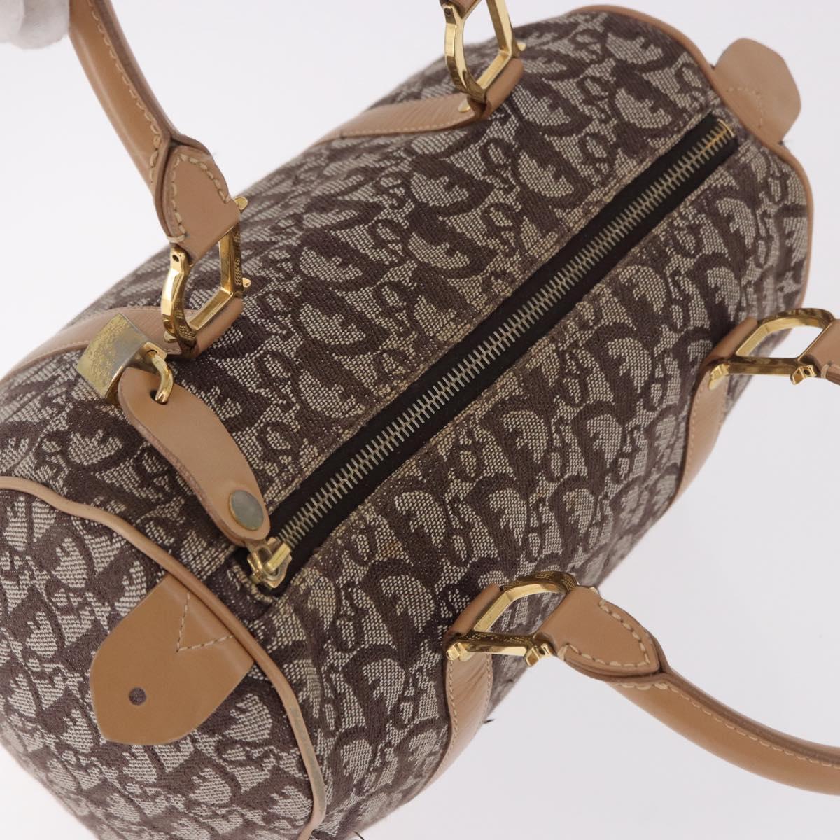 Dior Monogram Trotter Boston Bag